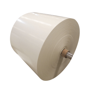 pe coated paper roll