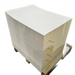 pe coated paper sheet
