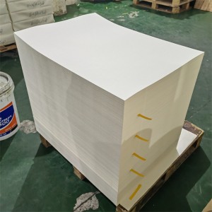 pe coated paper sheet