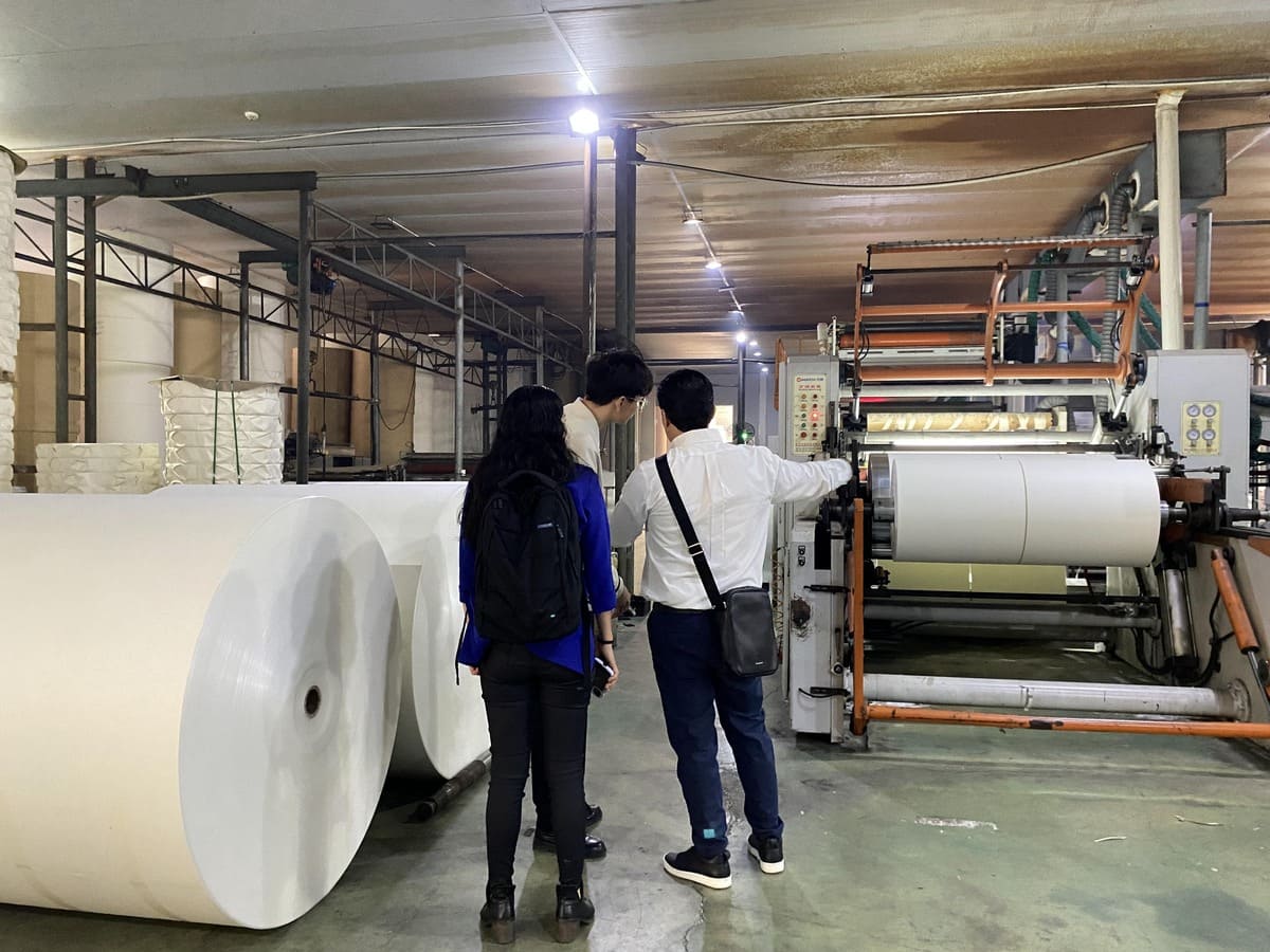 pe coated Paper Cup Material Workshop