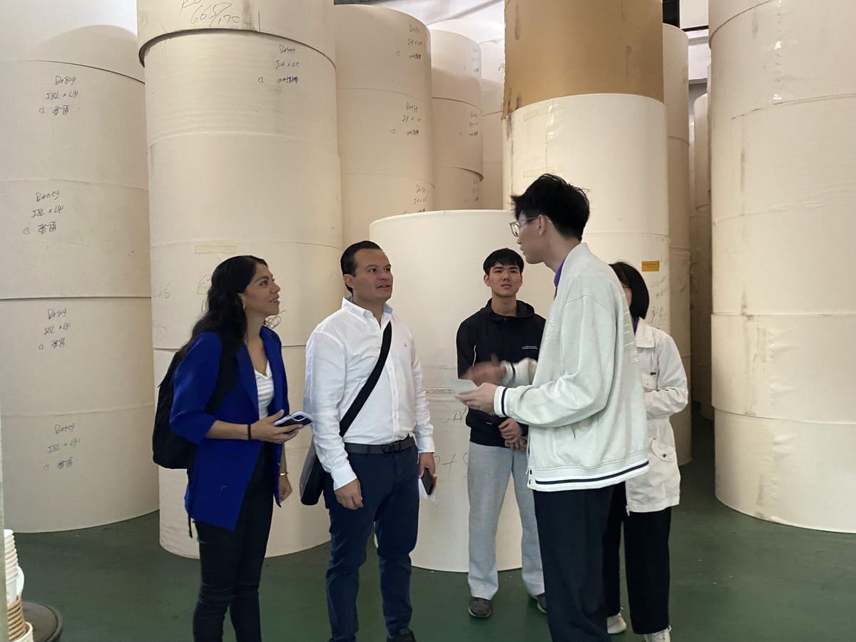 Paper Cup roll Material Workshop