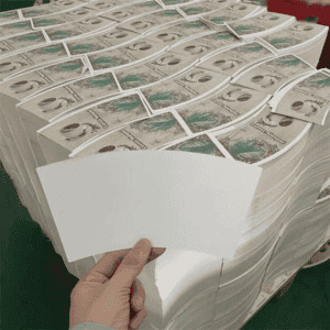 Custom Pe Coated Single Wall Disposable Paper Cup Material - Image 4