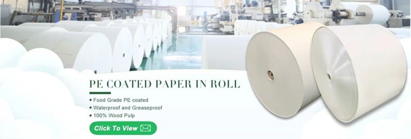 pe coated cup paper roll