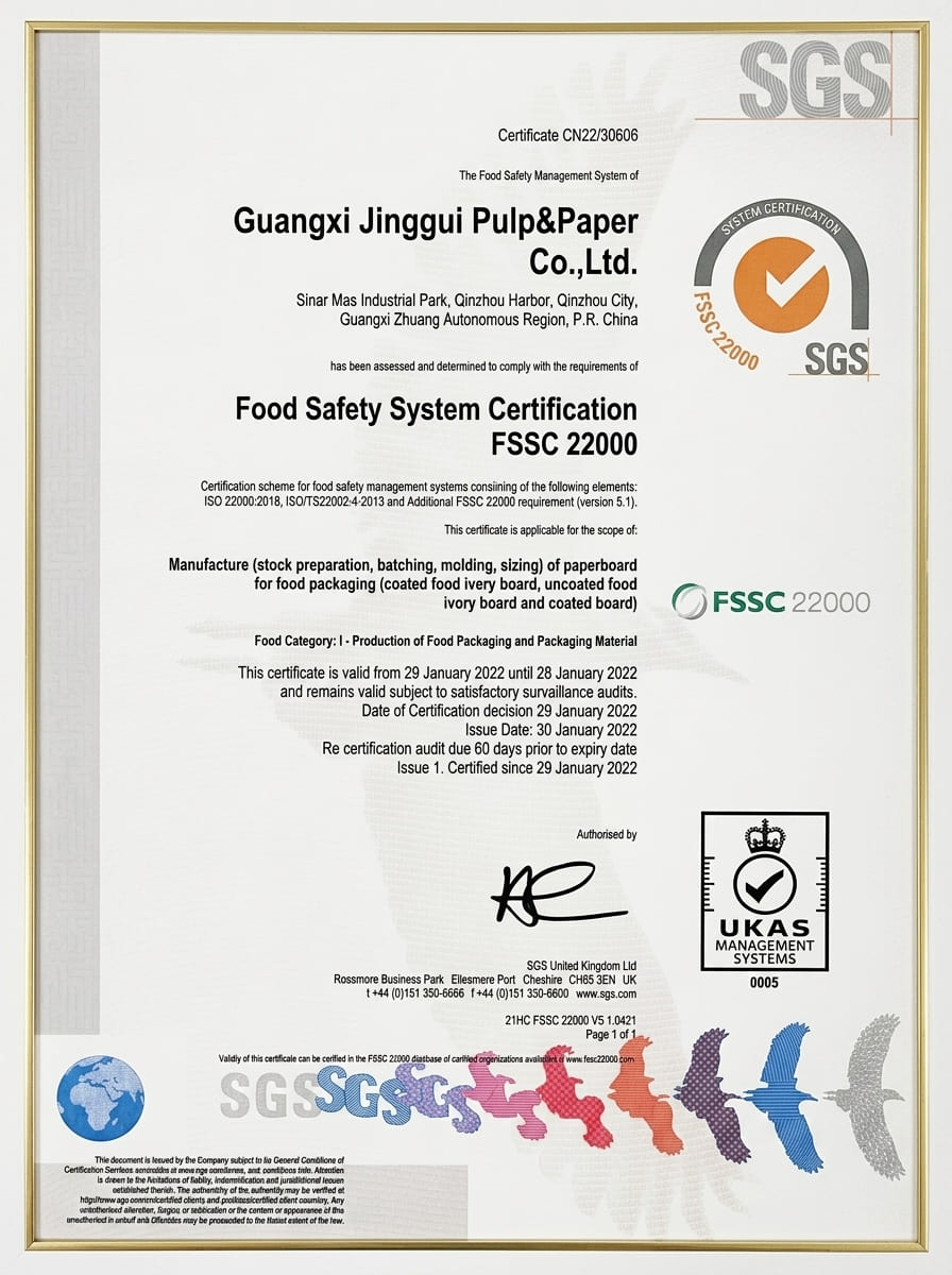 Virgin Pulp paper fan Certificate